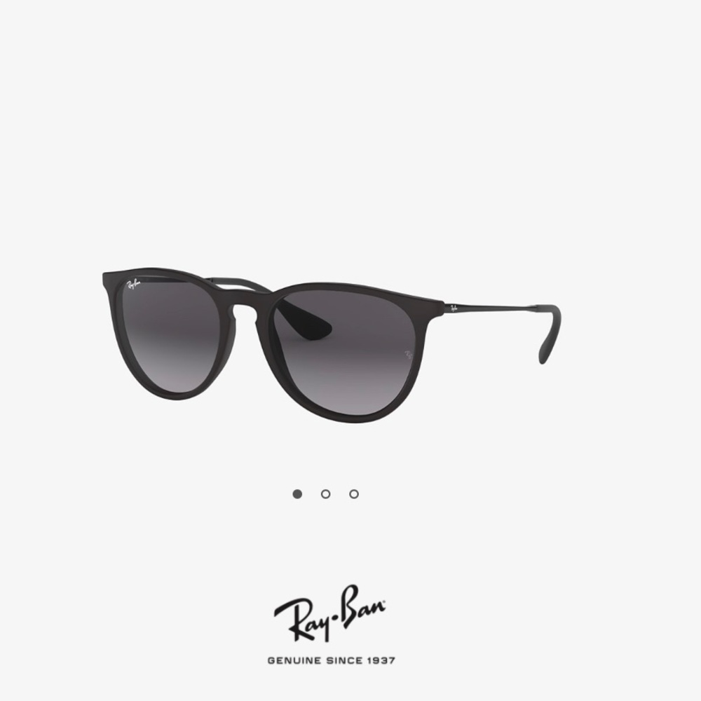 Erika Classic Ray Bans